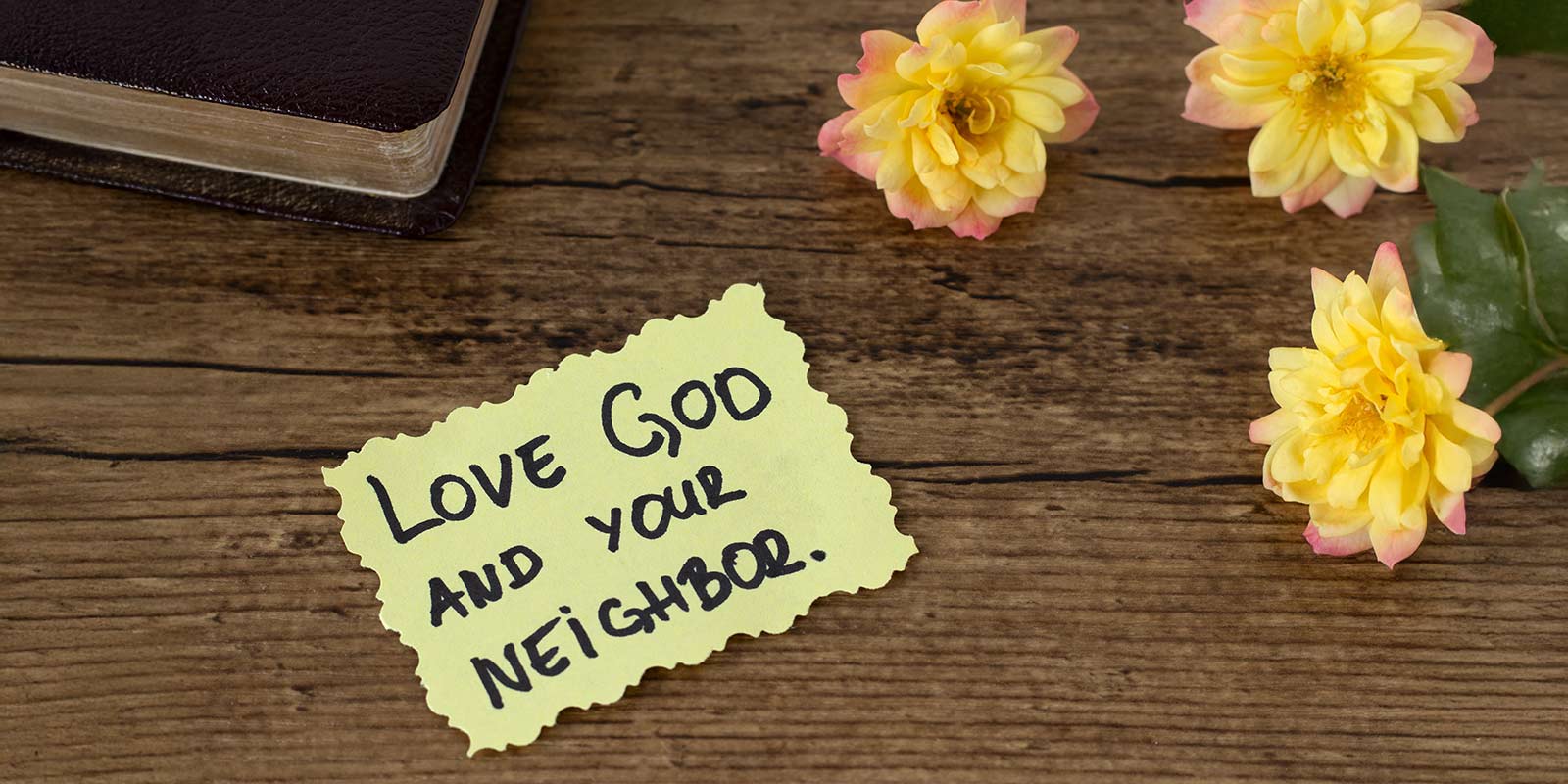 What-We-Owe-to-Our-Creator